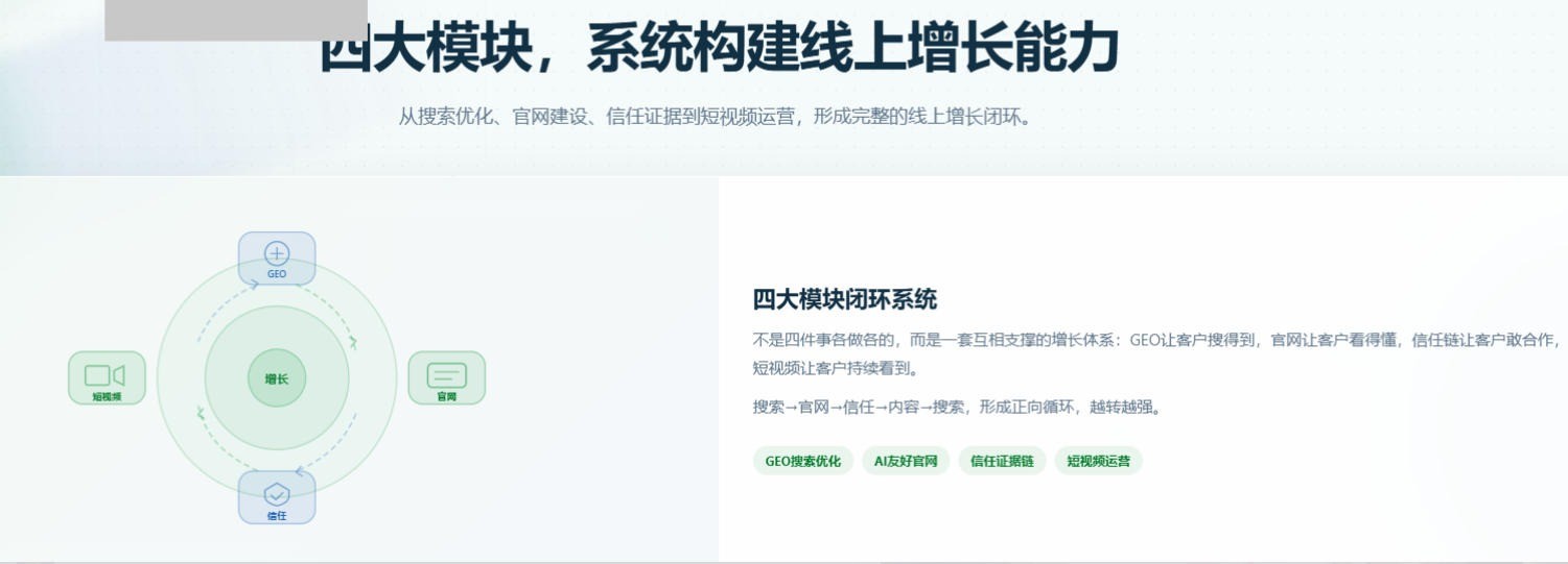 「四大模块,系统构建线上增长能力」示意图