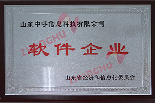 软件企业