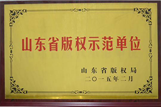 山东省版权示范单位